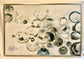 RENTAL - 41.5 x 61.5 Wall Art