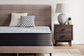 Ashley Express - Anniversary Edition Plush  Mattress