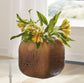 Ashley Express - Capard I/O Vase