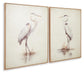 Ashley Express - Aubinell Wall Art Set (2/CN)