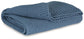 A1001087T