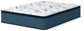 Ashley Express - Limited Edition Plush Pt 3.0  Mattress