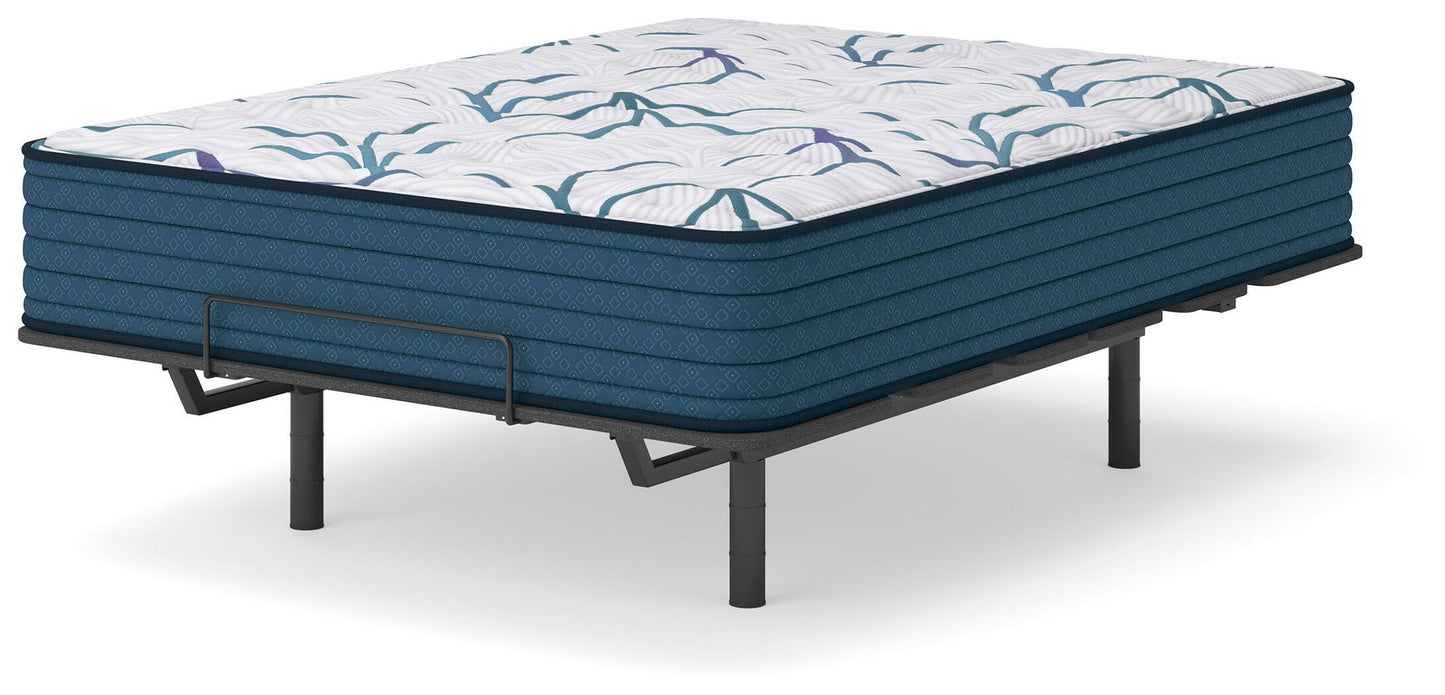 Ashley Express - Limited Edition Firm 3.0  Mattress