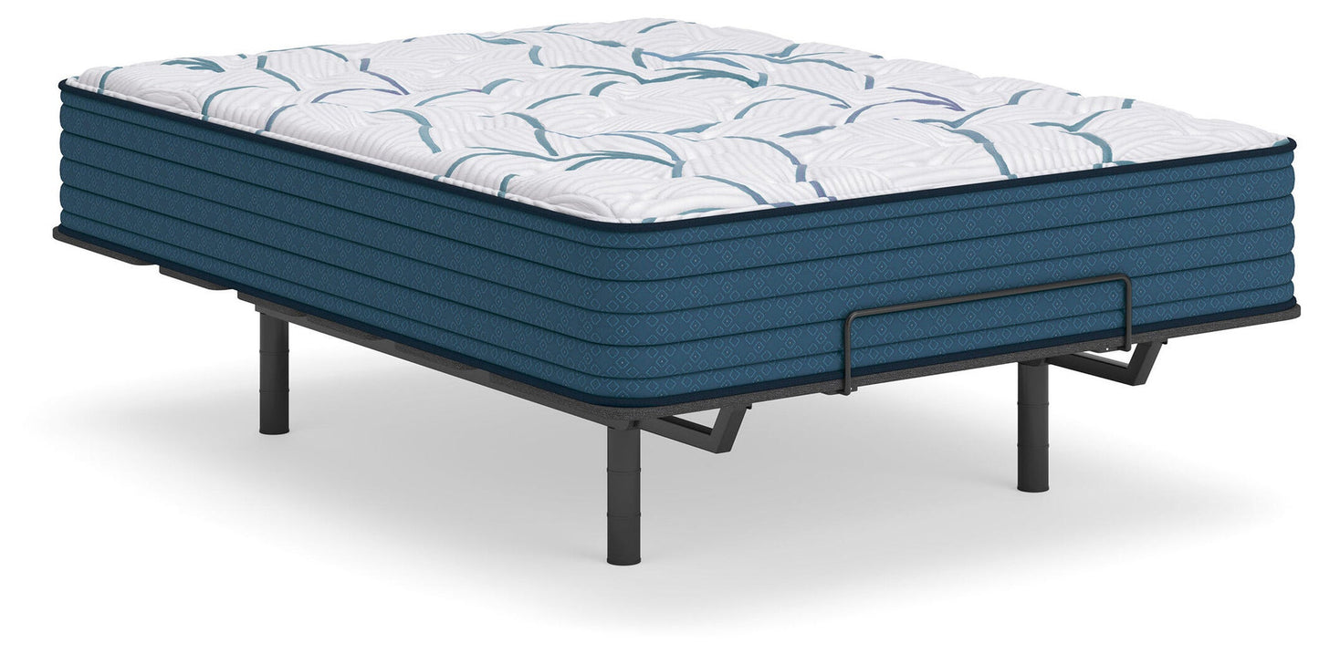 Ashley Express - Limited Edition Plush 3.0  Mattress