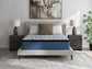 Ashley Express - Limited Edition Plush Pt 3.0  Mattress