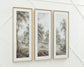 Ashley Express - Dixonburg Wall Art Set (3/CN)